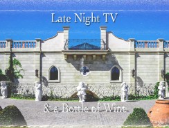 Late Night TV and a Bottle of Wine