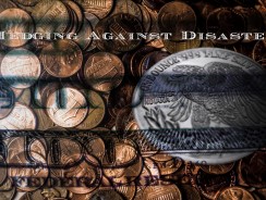 Hedging Against Disaster – Cash or Commodities