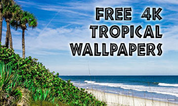 tropicwallpapers-square-ad